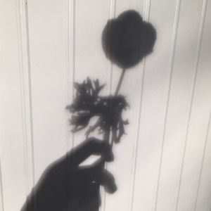 Meet your Posher, Audrey